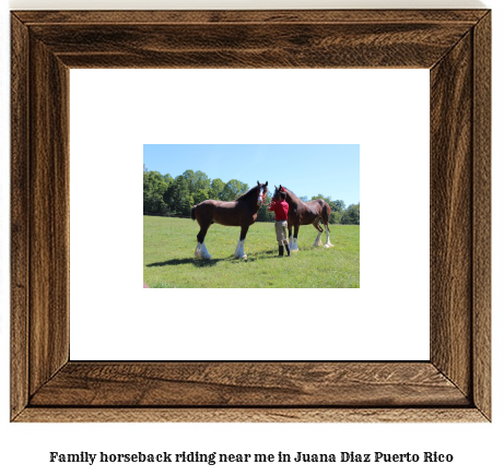 family horseback riding near me in Juana Daz, Puerto Rico